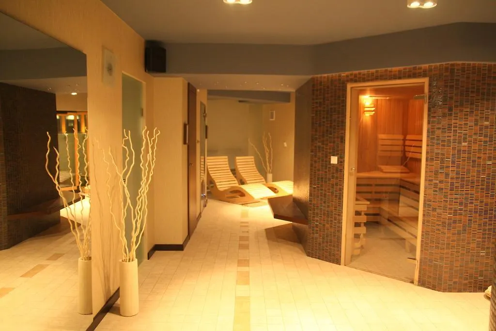 Apartamenty & Spa Zakrzowek Krakow 4*,